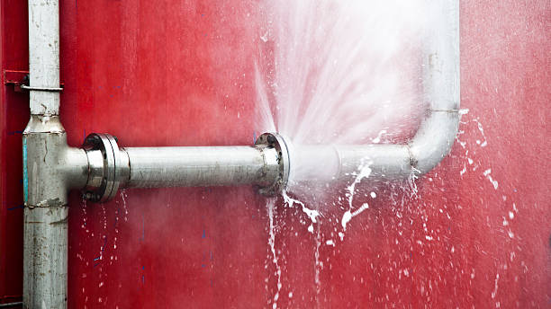 Best Water damage cleanup near me  in Lexington, MN